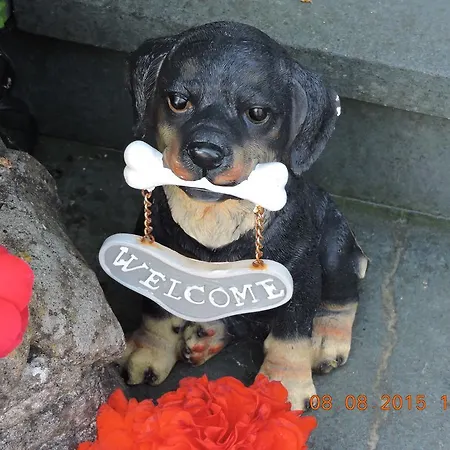 Bed & Breakfast Ivy 4*