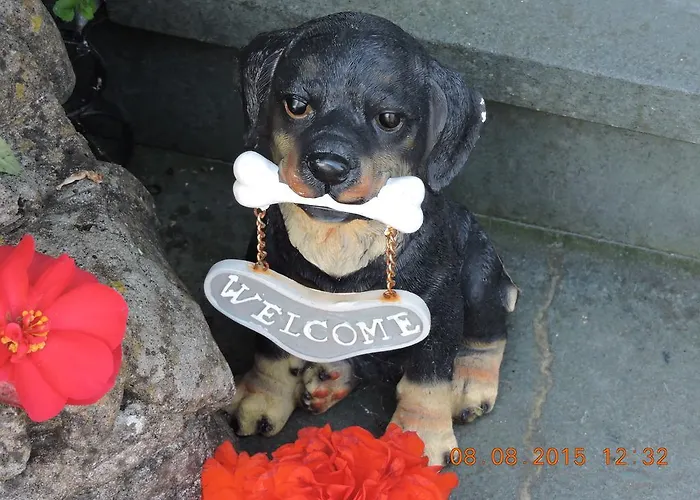 Bed & Breakfast Ivy 4*